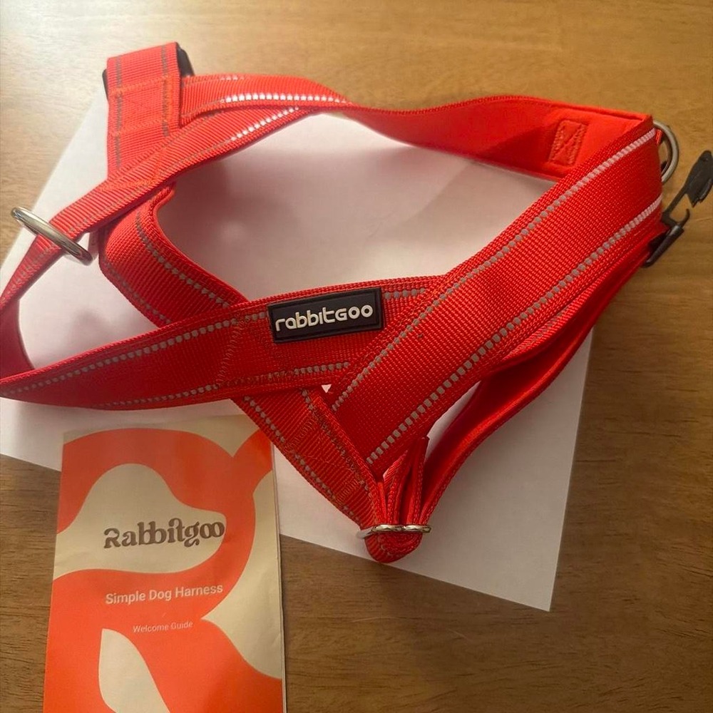 Rabbitgoo Orange Simple Dog Harness Reflective Stripes Medium
